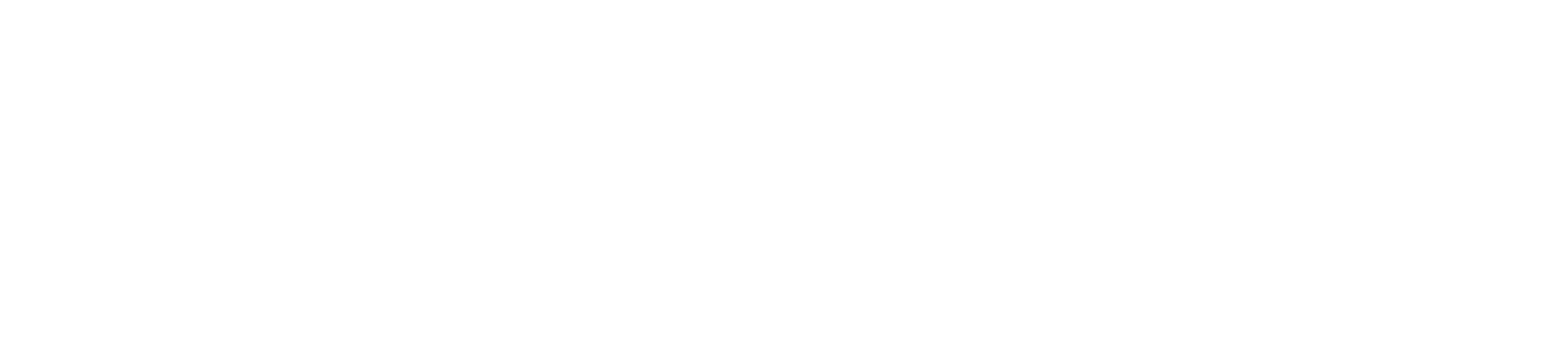 mfs-logo-white-2025
